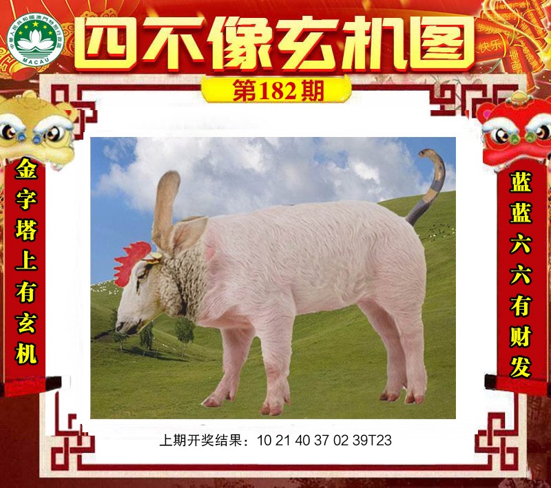 ͼƬŴ